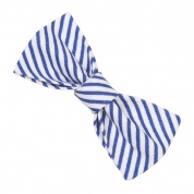 Blue Diagonal Stripe Bow Tie
